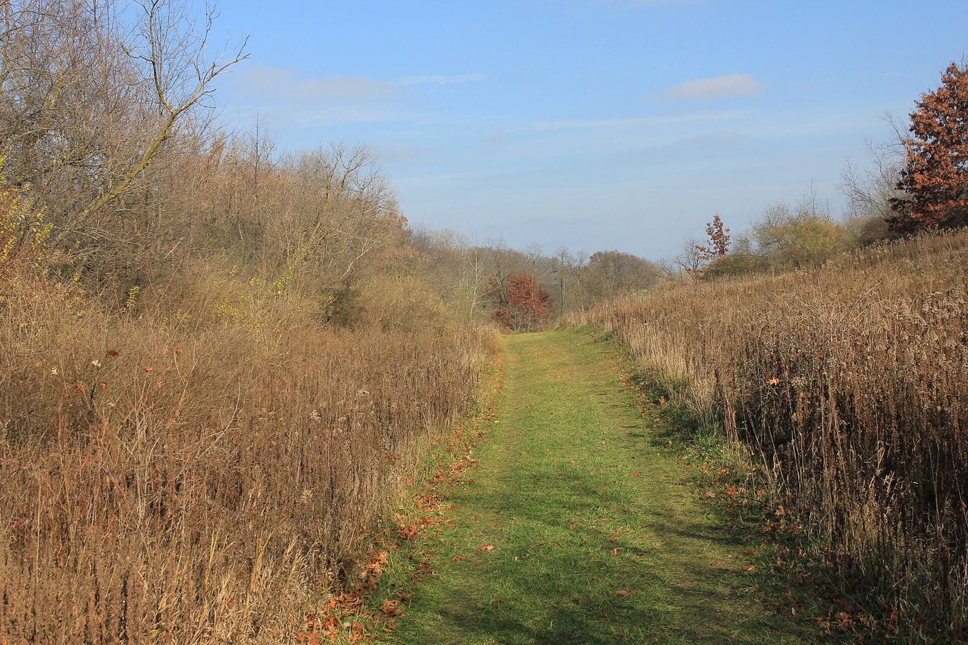 Rock Cut State Park