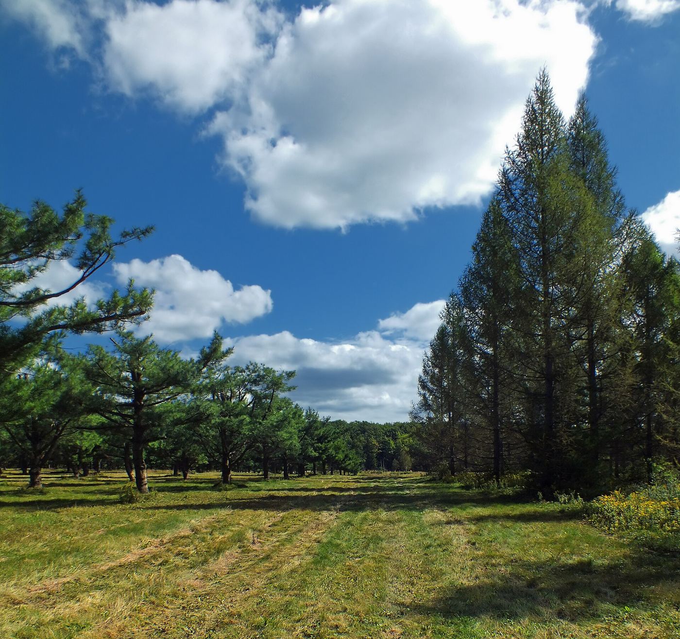 S. B. Elliott State Park