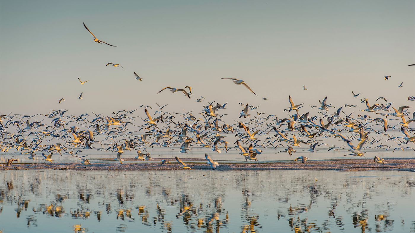 Salton Sea State Recreation Area