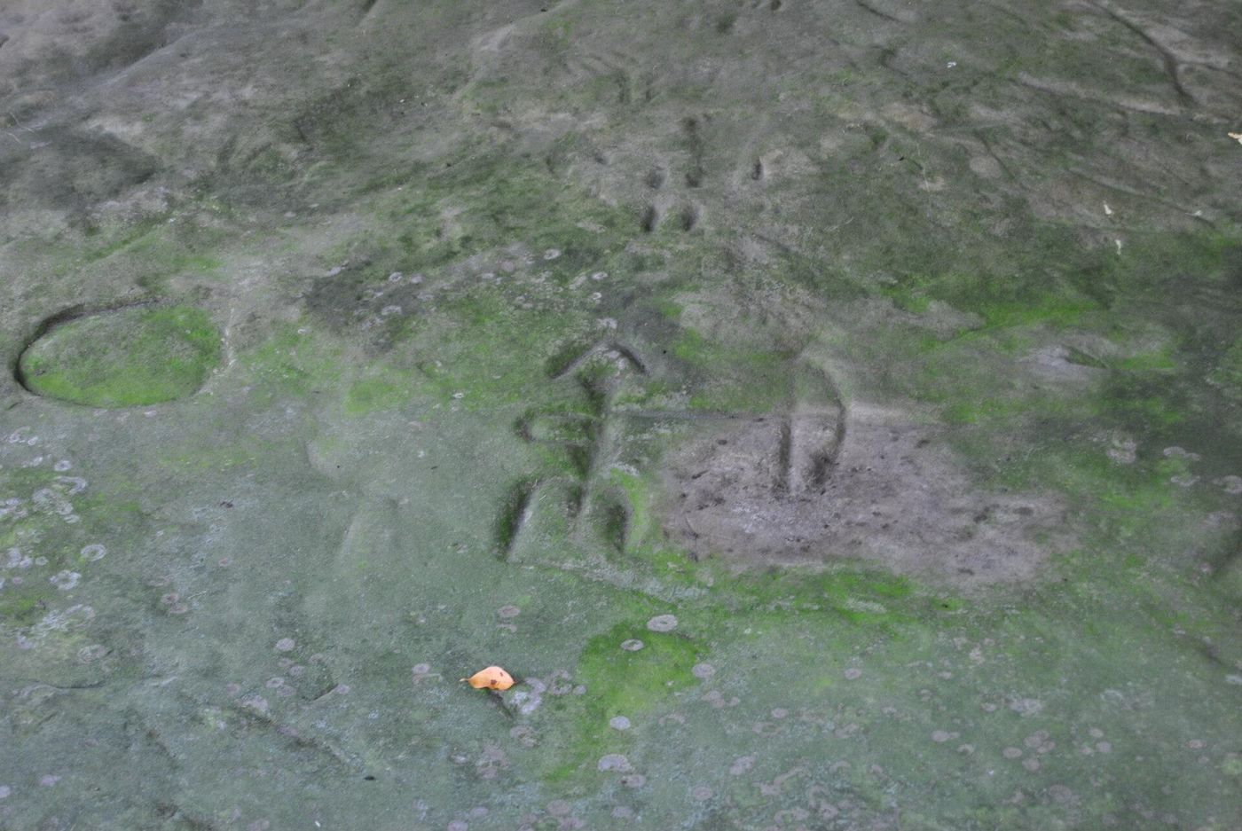 Sanilac Petroglyphs Historic State Park