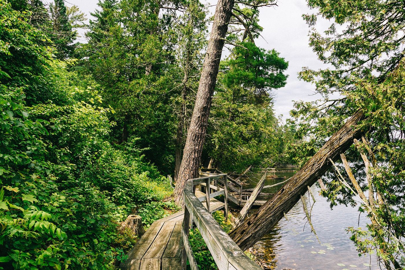 Scenic State Park