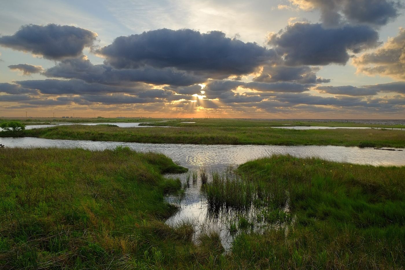 Sea Rim State Park