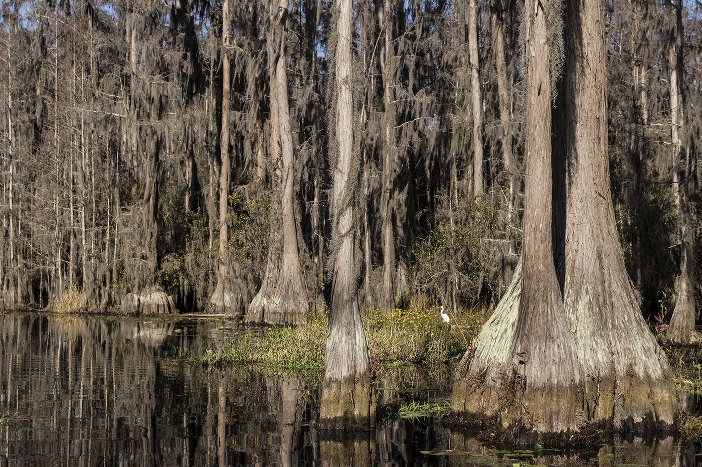 Stephen C. Foster State Park