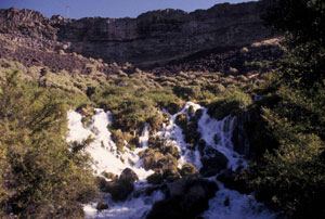 Thousand Springs State Park