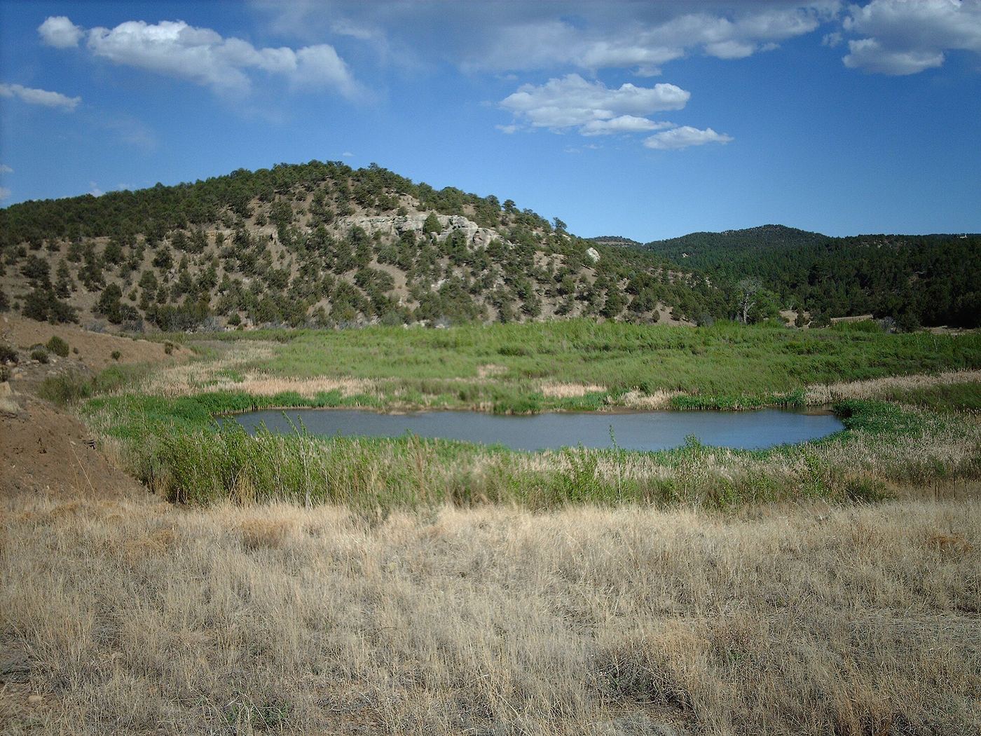 Trinidad Lake State Park