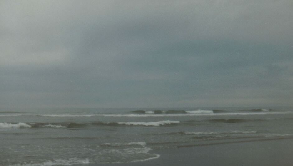 Twin Harbors State Park