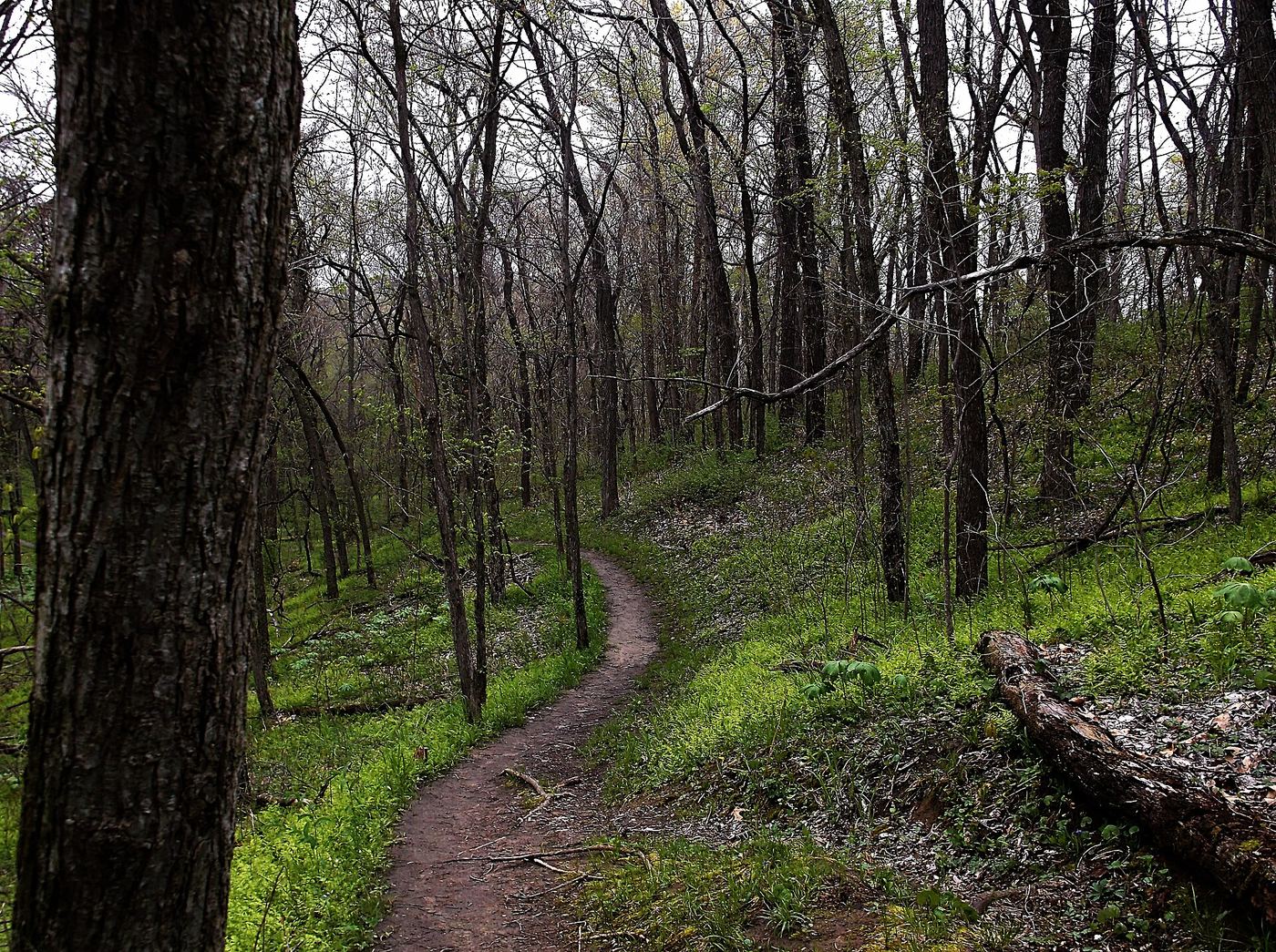 Weston Bend State Park