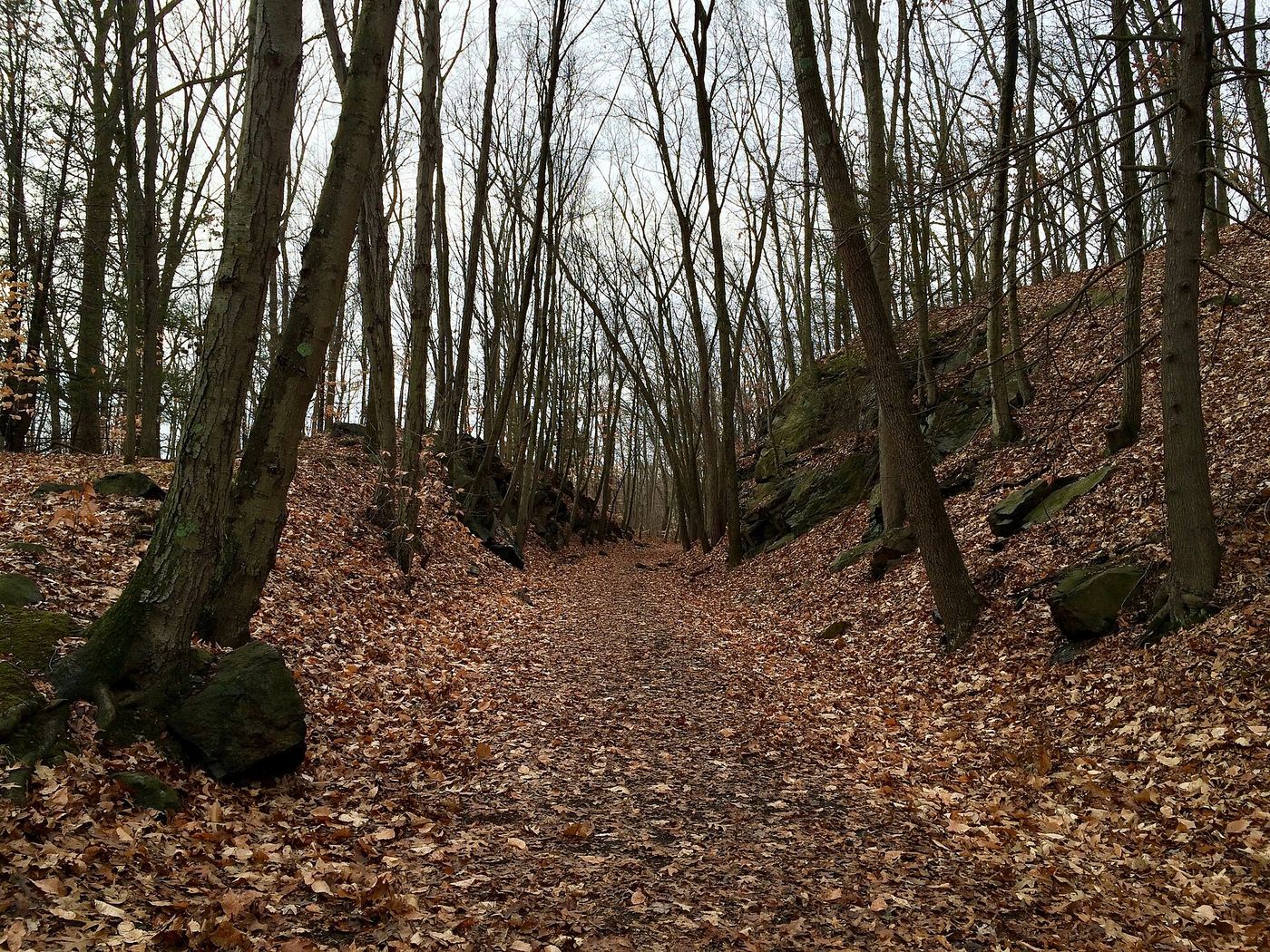 Whittemore Glen State Park