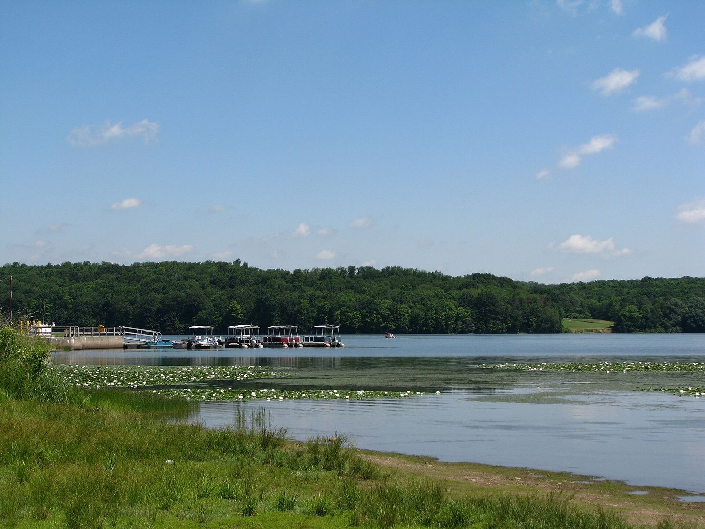 Yellow Creek State Park