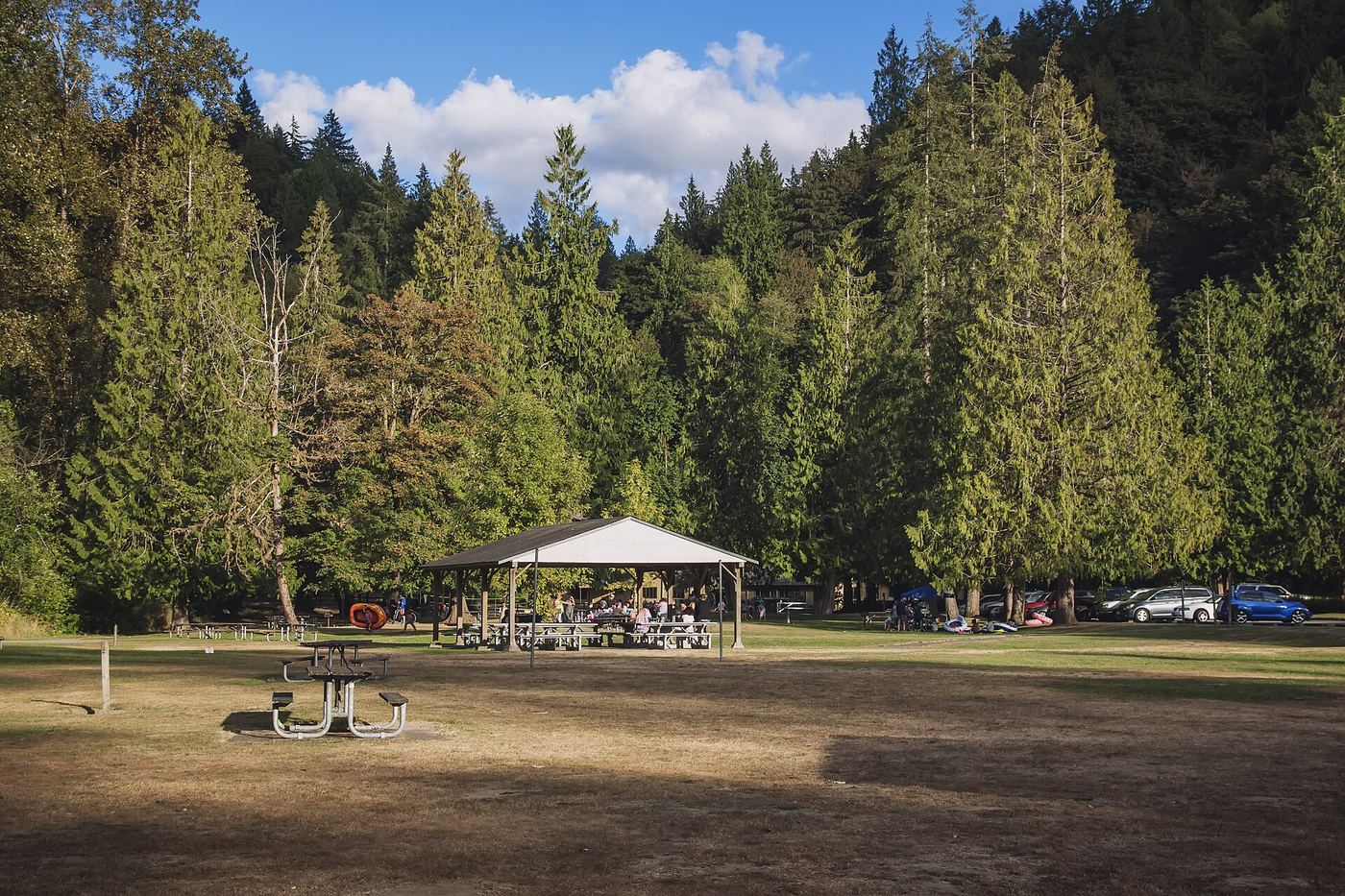 Flaming Geyser State Park